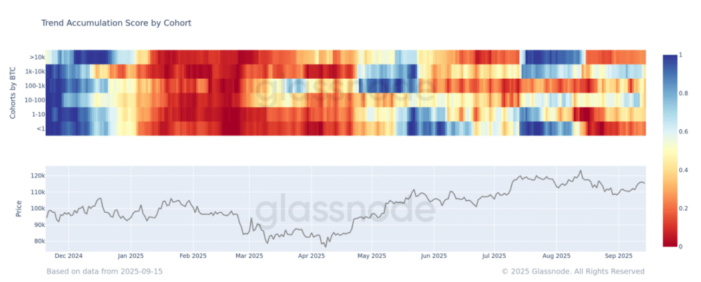BTC Cohorts Return to Net Selling as Market Continues to Consolidate