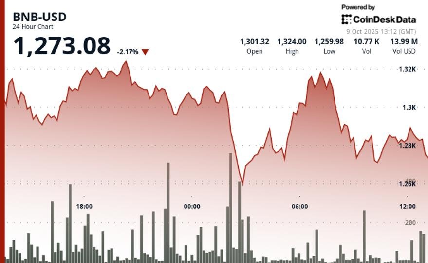 BNB Falls 2% as Memecoin Trades Unwind Despite ‘Hard to Ignore’ Rally
