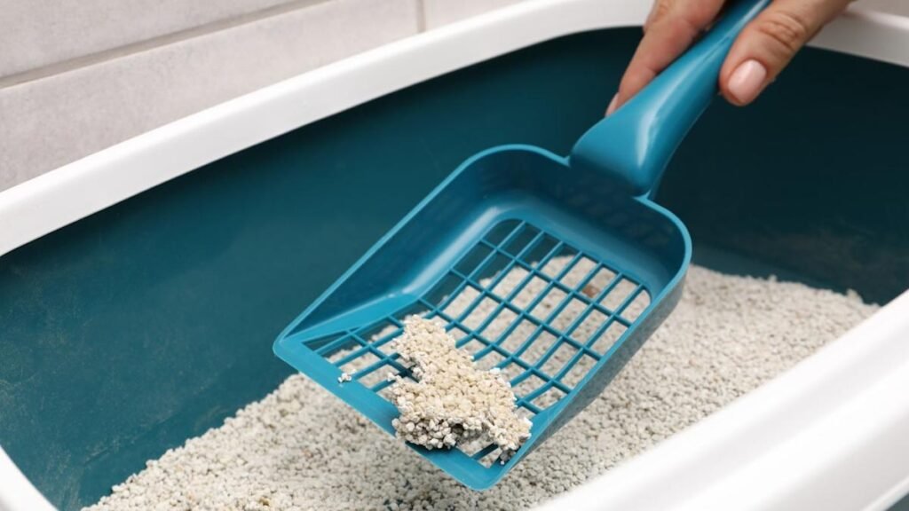 Angelcare opens logistics and packaging centre in Ontario, Canada