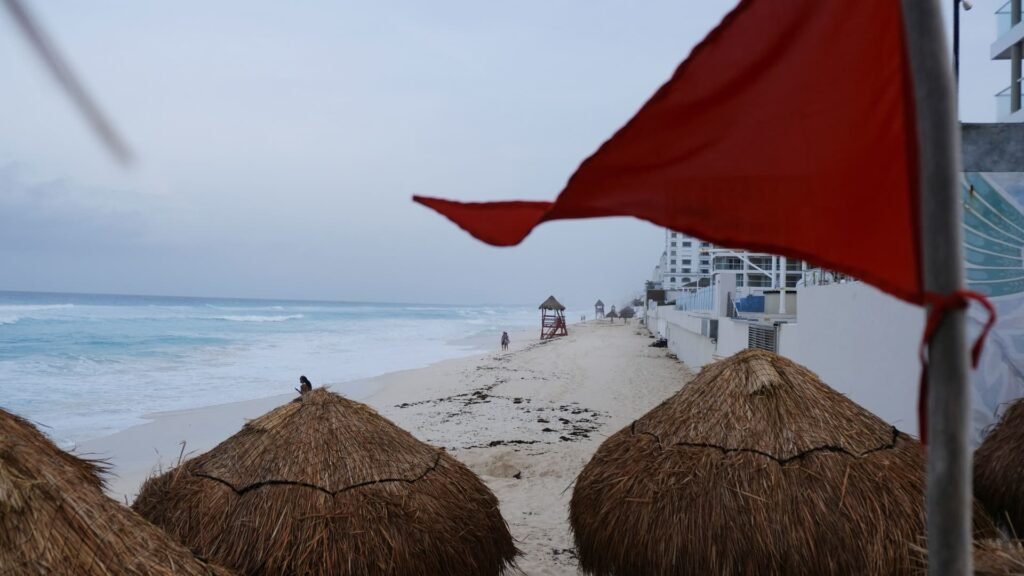 VC who backed billion-dollar AI firm shares two red flags in founders