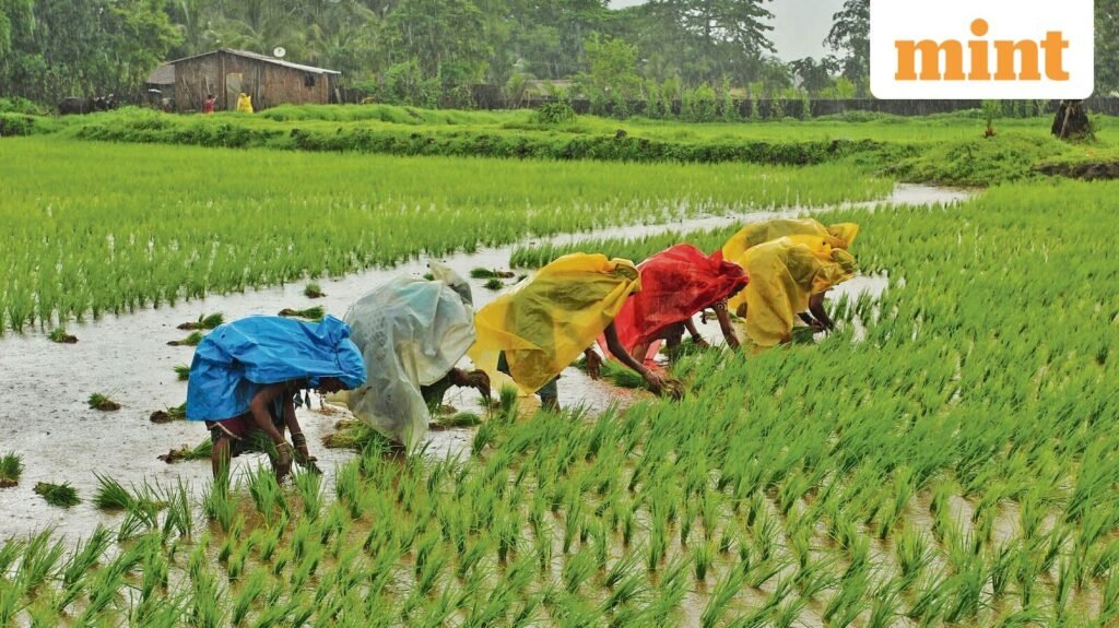 India’s lifting of rice export ban helped cool global food prices, says WTO