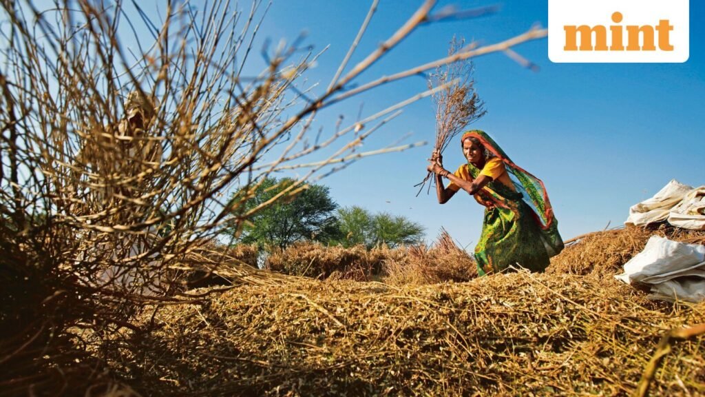 VISTAAR platform to bring real-time agri insights to farmers