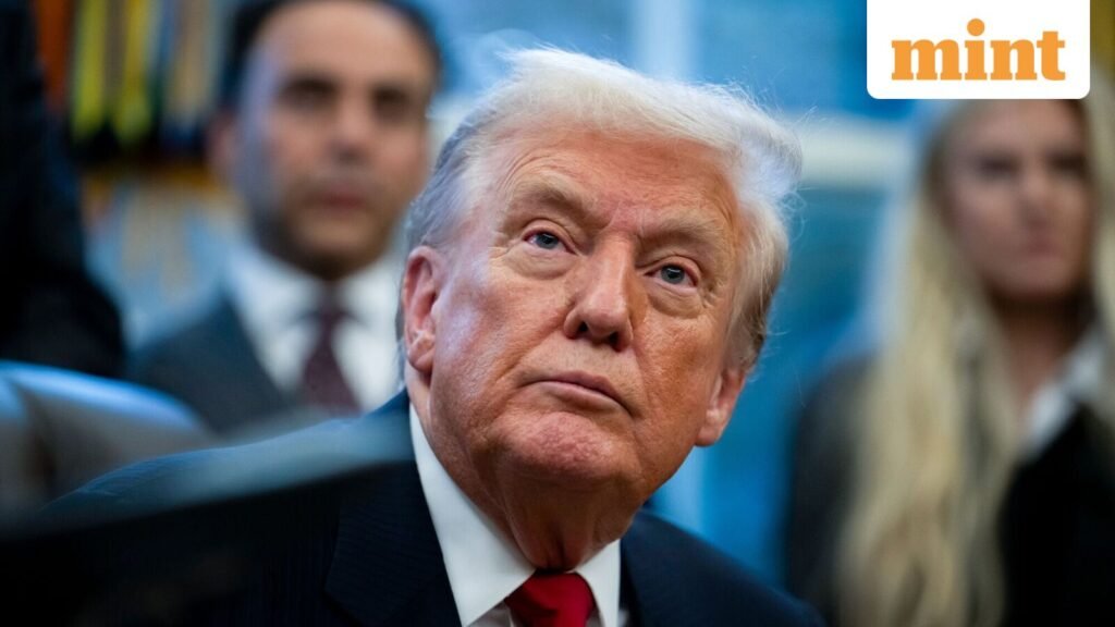 What is Donald Trump’s $2,000 tariff dividend? Who gets it and when will it be paid? All you need to know