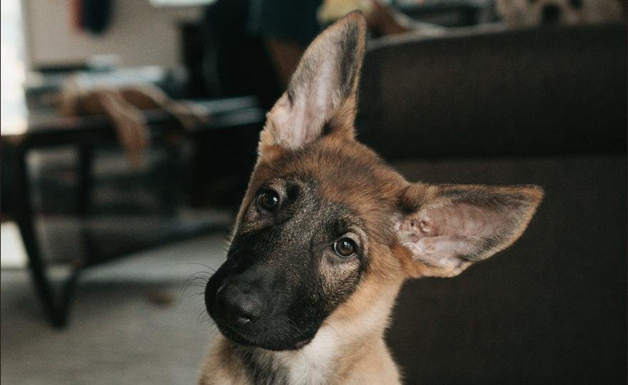 Even Prediction Markets Didn’t See BTC’s Selloff Coming