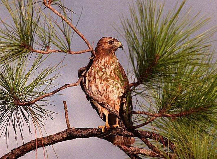 Jerome Powell and the Fed Has New Bearish Jobs Data to Mull