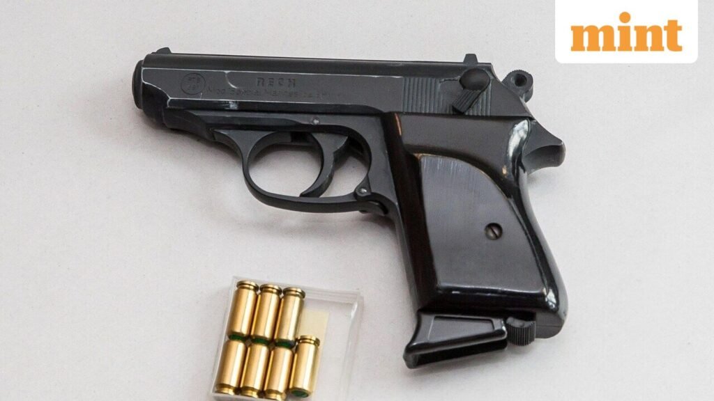 Pistols, ammo recovered from Pakistan-linked arms smuggling network a day after Delhi car blast, terror module bust