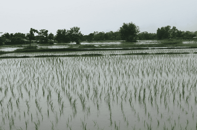 Weather Alert Forecasts Strong Wind, Heavy Rainfall in Morocco
