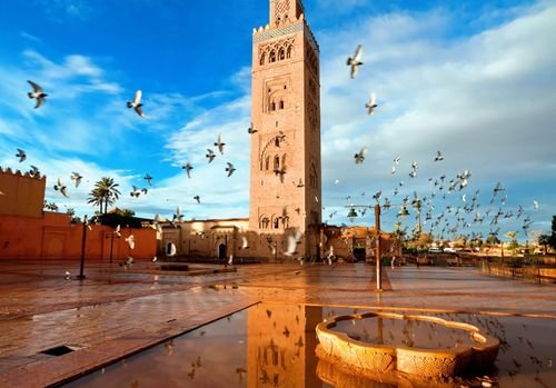 Explore the Top-Rated Tourist Attractions in Marrakech